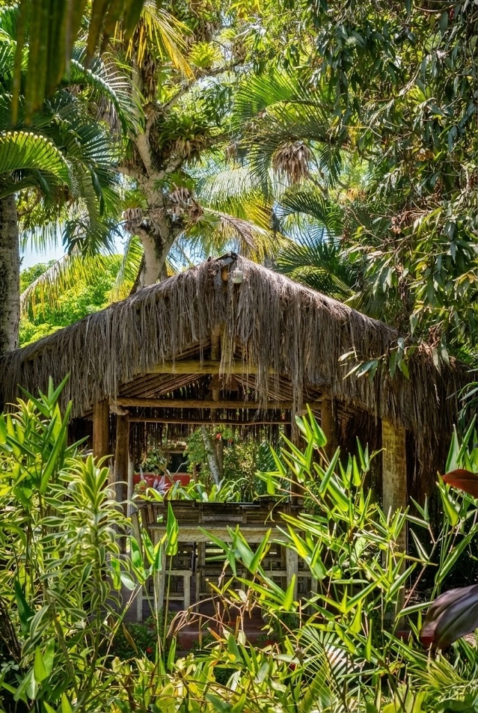 Área de café da manhã acolhedora